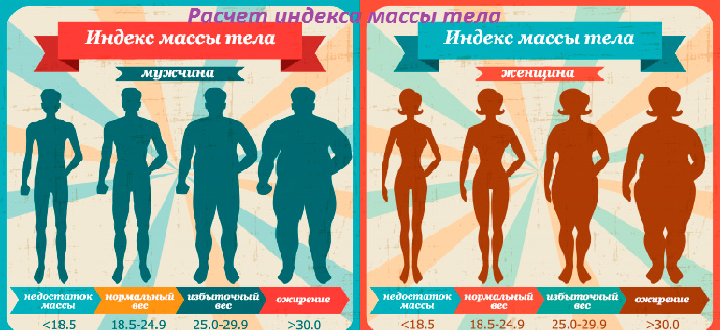 Расчет индекса массы тела